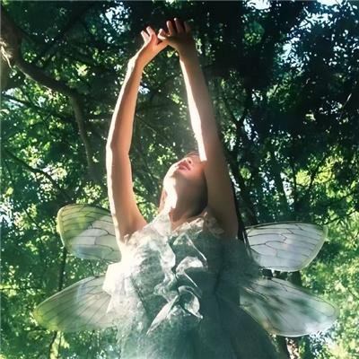 名扬金榜后我众叛亲离